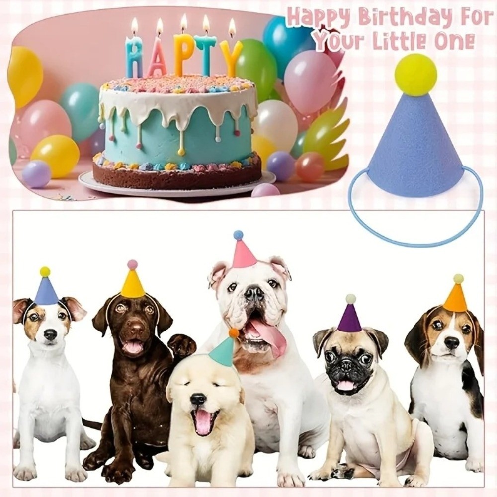 Nuovo Set di 6 Mini Cappelli d - Party Hat Cone recensione e prezzo