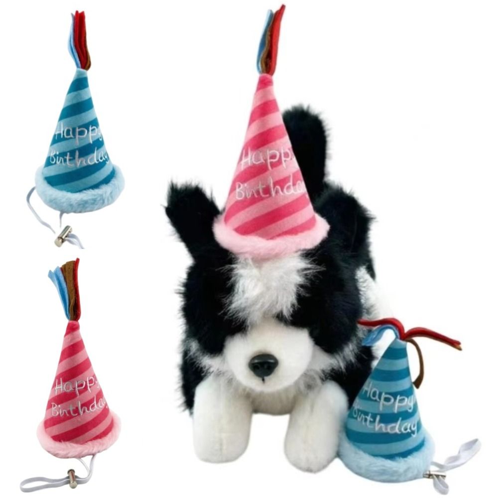 Cappello di Compleanno Regolab - Party Hat Cone recensione e prezzo